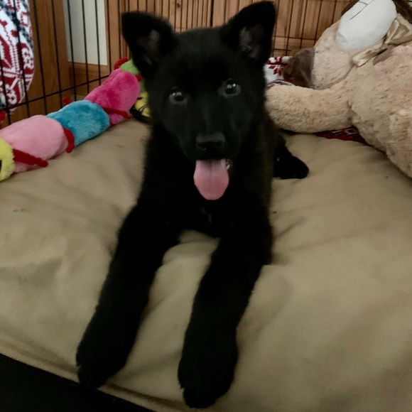 Meet your Posher, Rachel - Picture 10 of 15